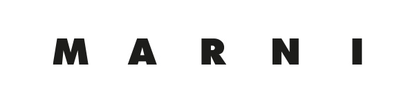 Alt text goes here